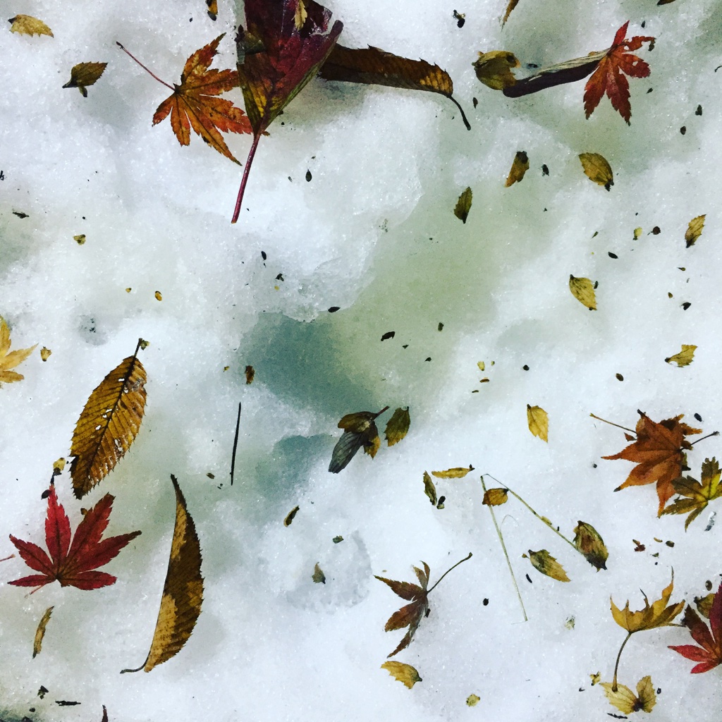 hakone snow and fallen leaves